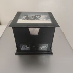 Cute Kitty Box