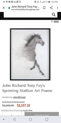Stallion Art Frame.