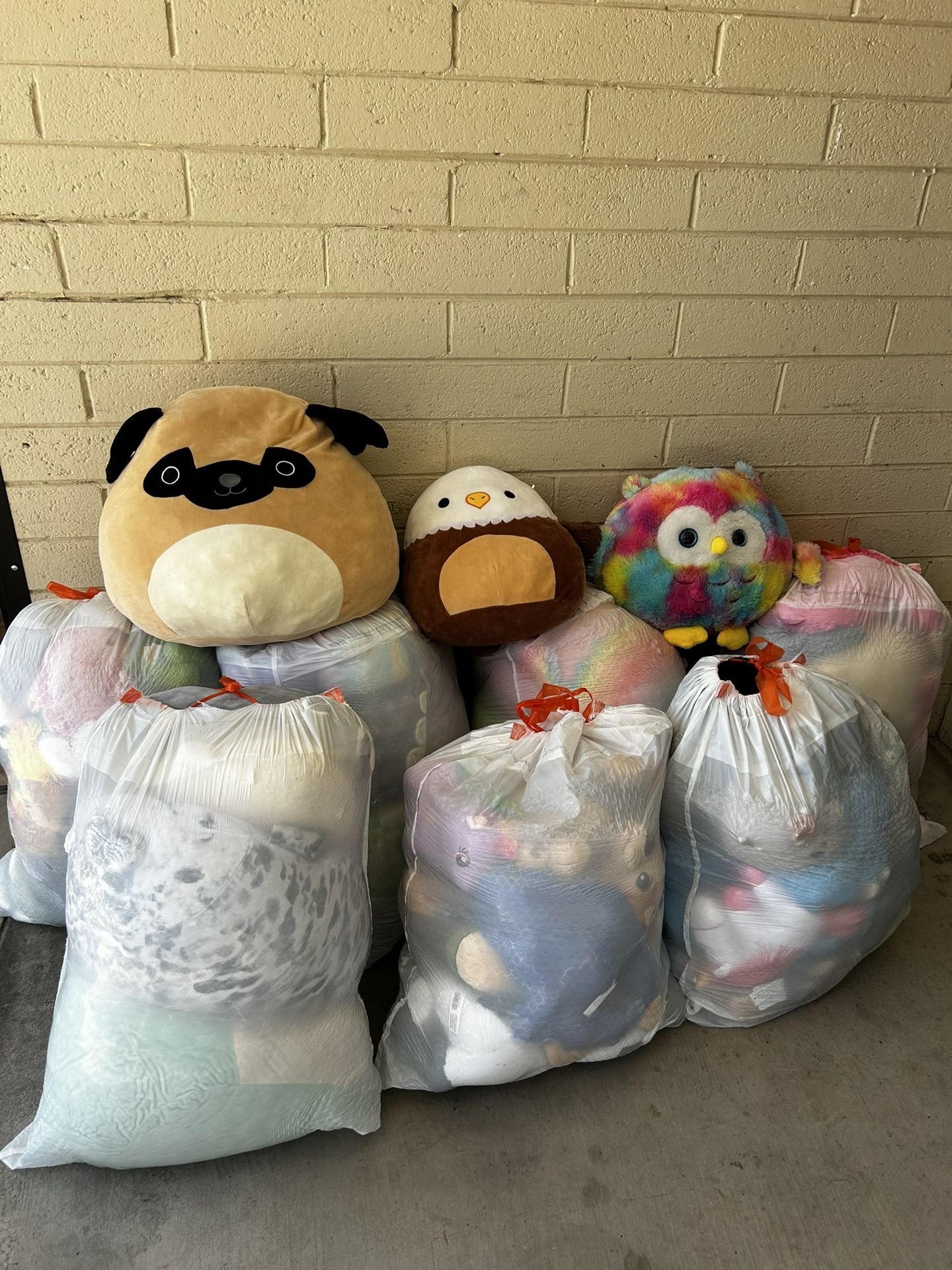 Squishmallows & Plushies
