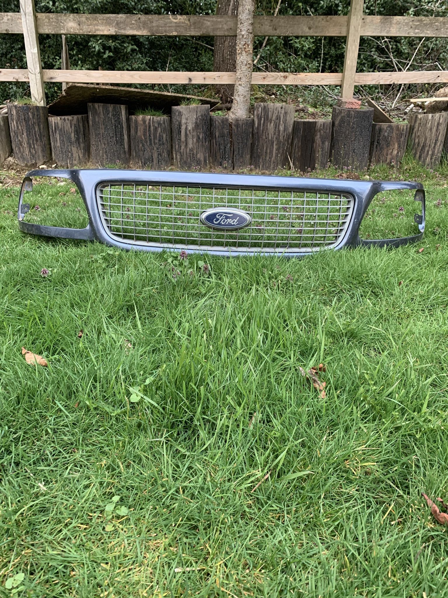 2002 Ford F-150 Grill