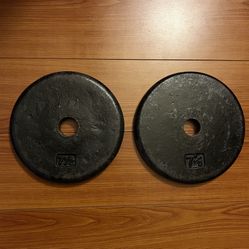 (2) 7 1/2 Pound Standard Weight Plates Weightlifting Gym