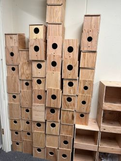Bird Wood Nests