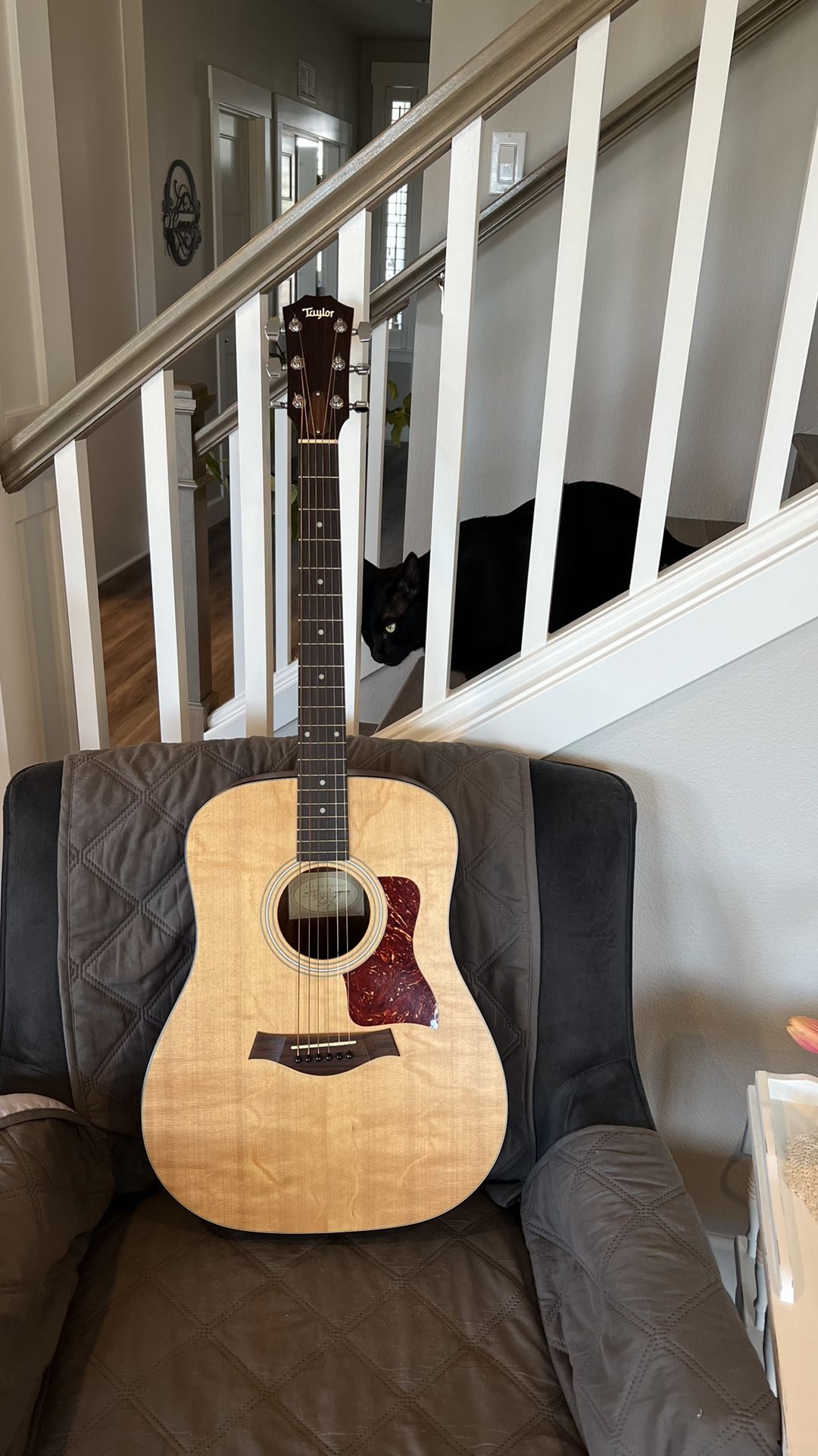 Taylor 110 Acoustic Guitar