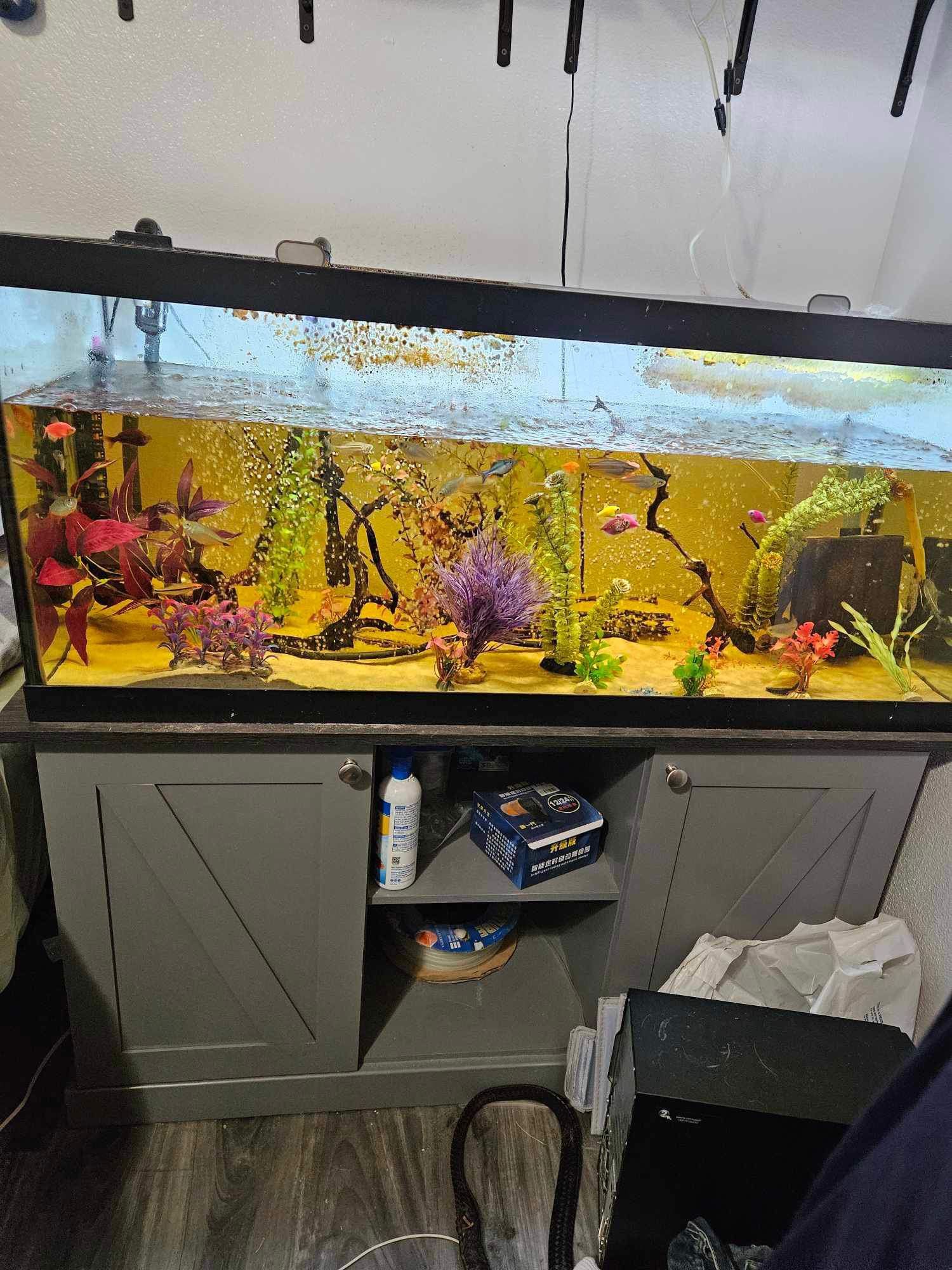 Whole Fish Tank Setup: 75 Gallon Tank, Fish, Water Pump/Heater, Tubing, Air Bubbler, Lids, Lights