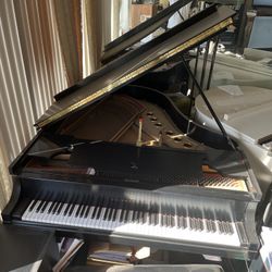 Steinway And Sons Model M Grand Piano and Bench With Amplifier Built On For Sale