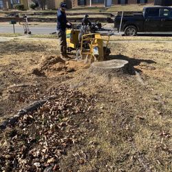 STUMP GRINDING