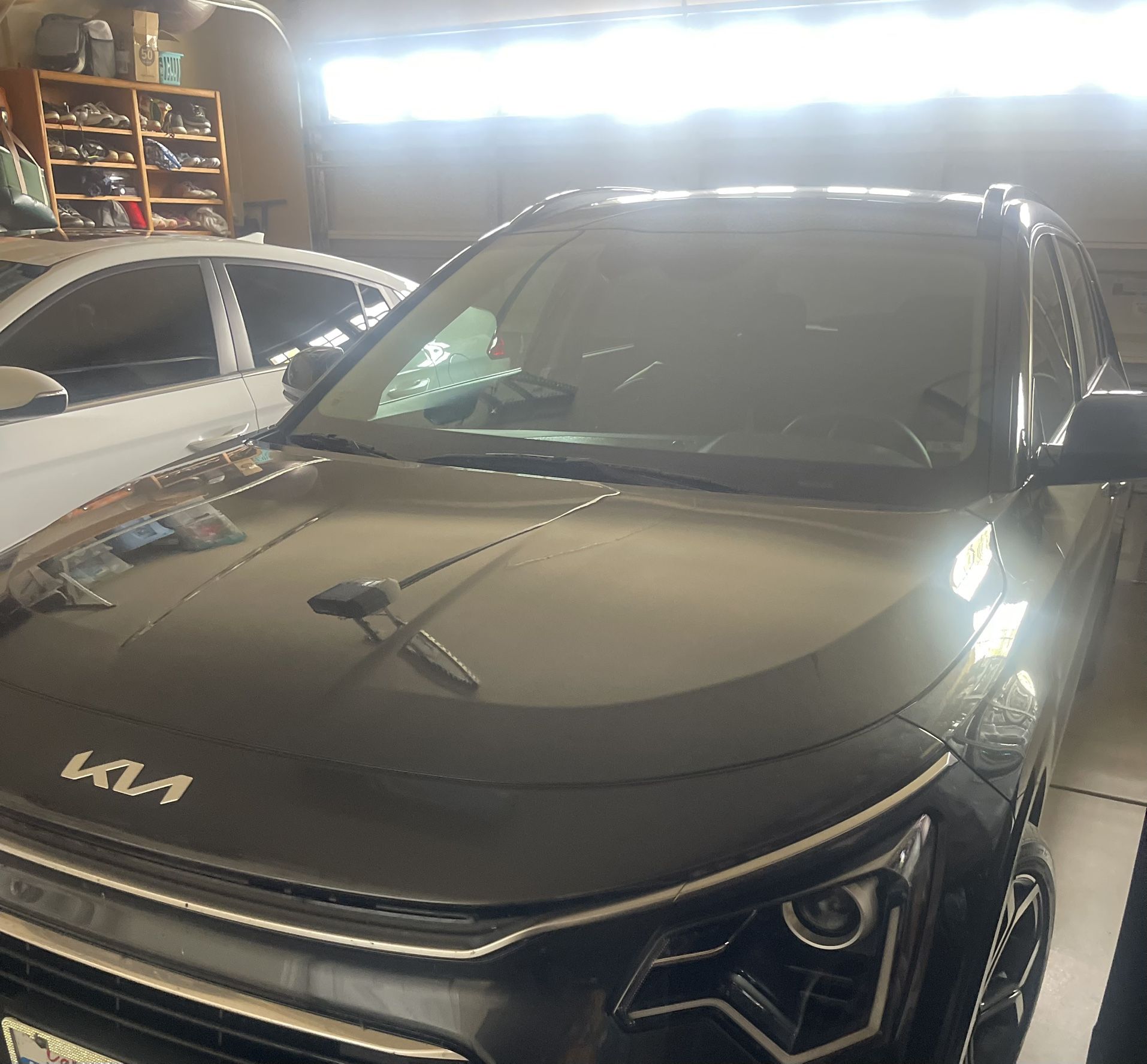 2023 KIA Niro