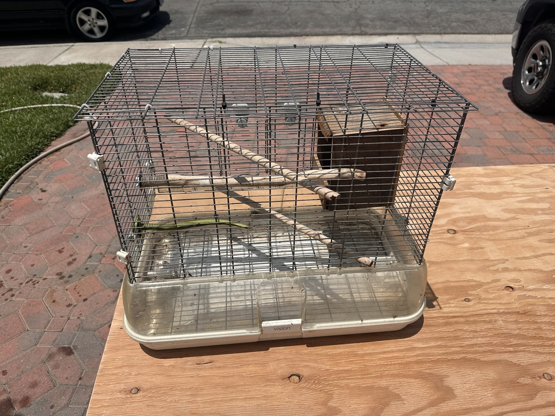 Bird 🦅 Cage