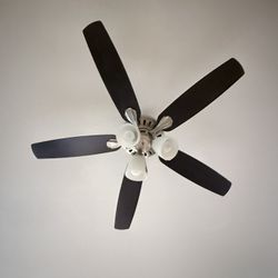 5-Blade Ceiling Fan with Light – Brushed Nickel