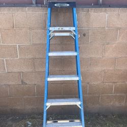 Werner 6ft Ladder 