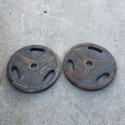 45 Weight Plates