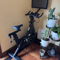 Stationary Bike 