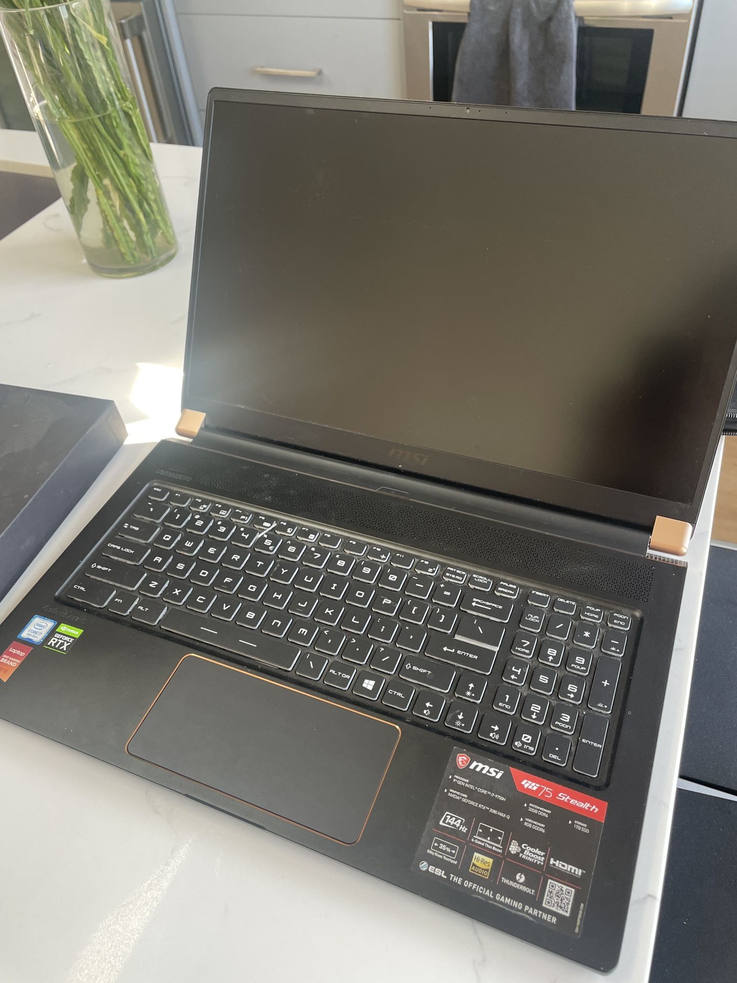 MSI GS75 Stealth 9SG-242US 17.3” Gaming Laptop