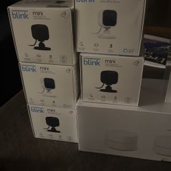 Blink Minims Smart Security Cameras 