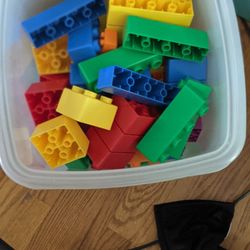 Large Duplo Set
