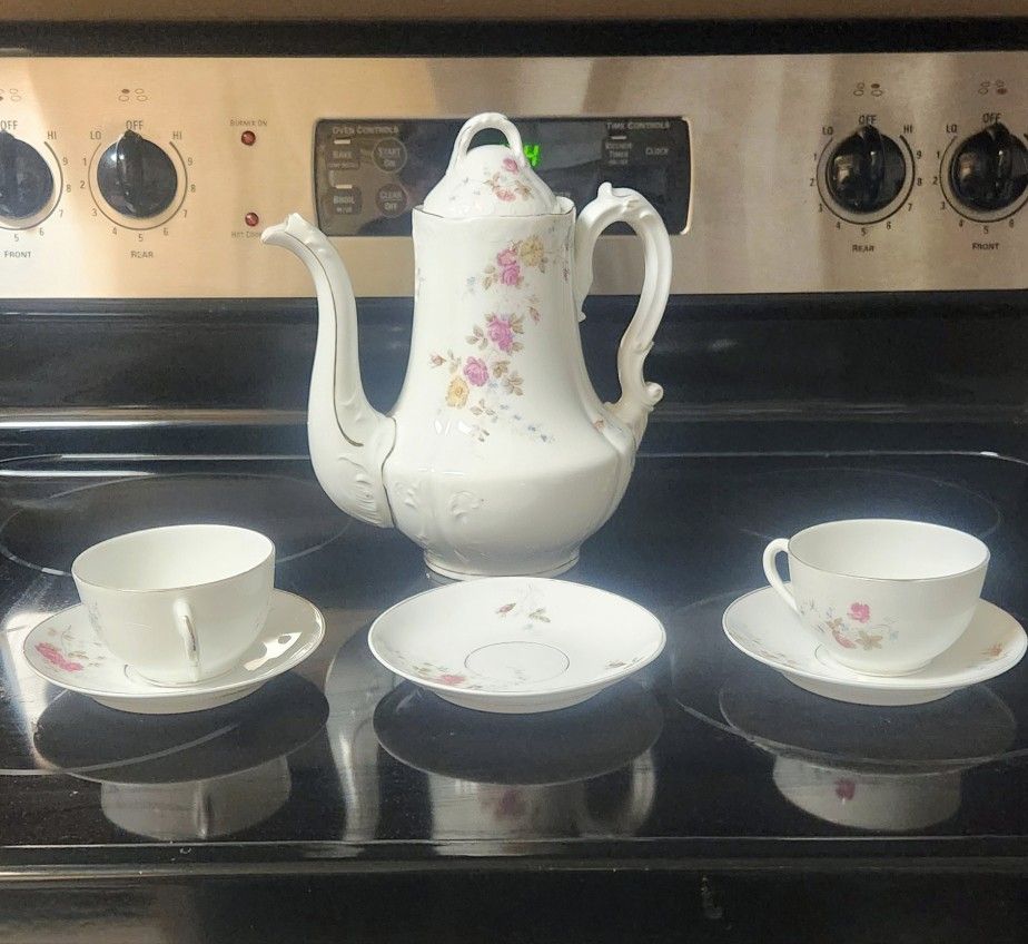 X6 Vintage Austrian Altrohlau China