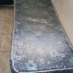 Twin Bed 🛏️ 60 Bucks 