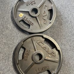 25 lb Olympic Weights Plates