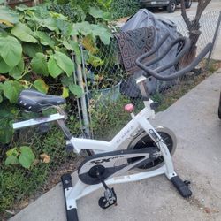 Bladez Stationary Exercise Bike 