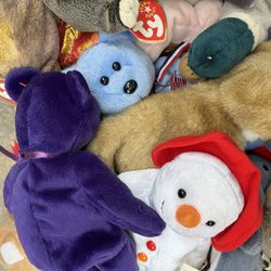 Largest assortment of beanie babies