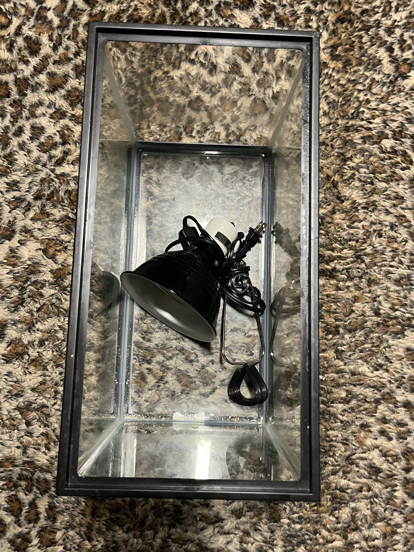 Small Fish/Turtle Tank