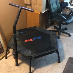 Ray bee Jumper Pad Trampoline 