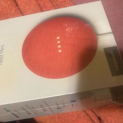 Google Nest Mini New 
