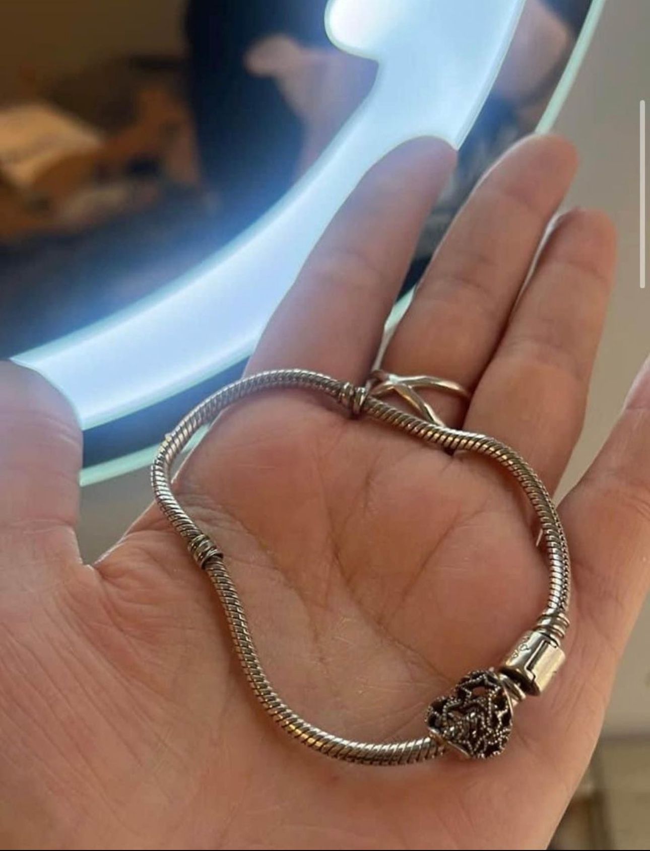 Pandora Charm and Bracelet