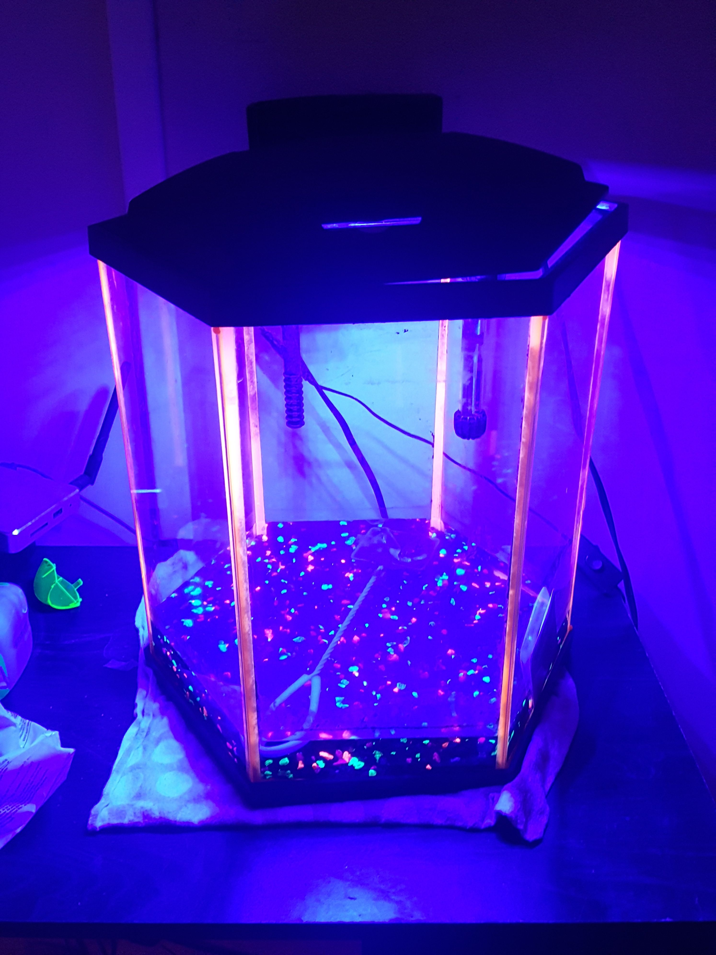 Glow in the dark Pentagon aquarium (8gallon)