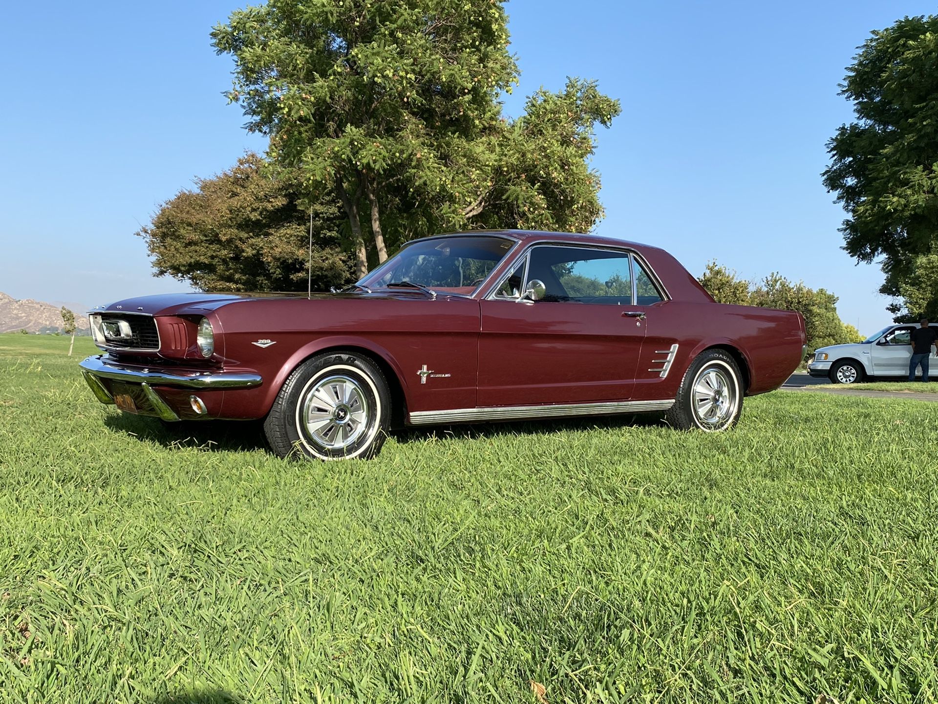 1966 Ford Mustang