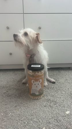 Freeze Dried Tofu Small Pet Snack