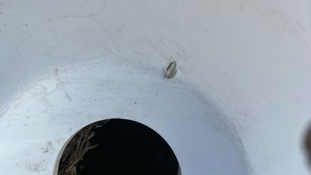 Tub Flaws