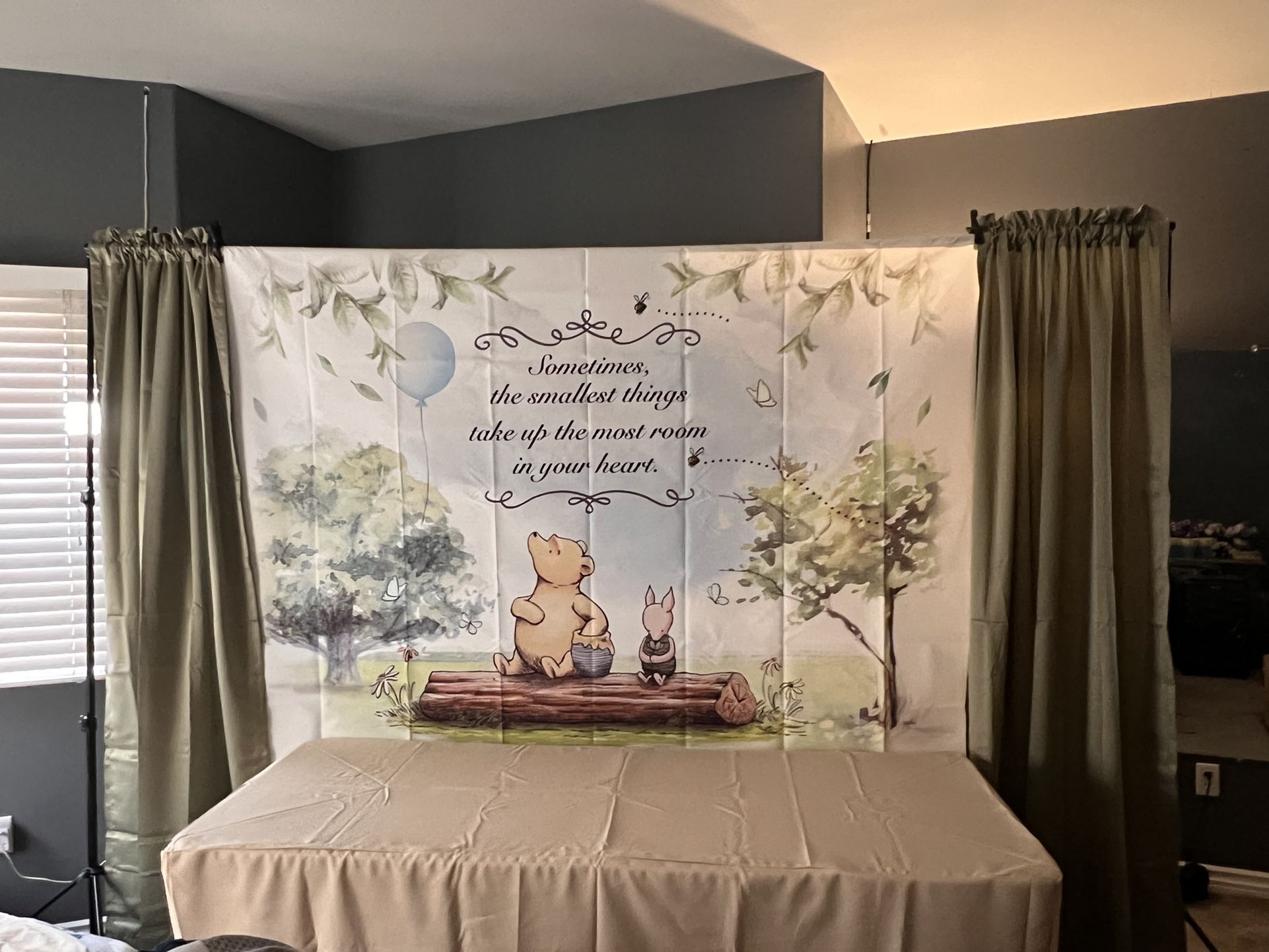 Baby Backdrop Canticos for Sale in Fontana, CA - OfferUp