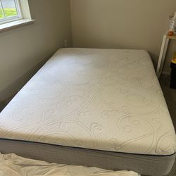 Queen Firm Mattress