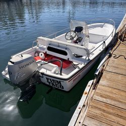 Boston Whaler Dauntless 13