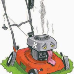 Push Mower Repair Inspection 