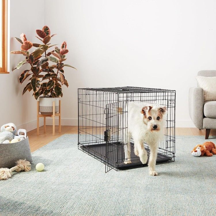 Godohome 18 inches Reinforced Dog Crate x-small Collapsible Dog Crate Wire Pet Dog Crate with Leak Proof Plastic Tray Divider Outdoor Indoor Portable
