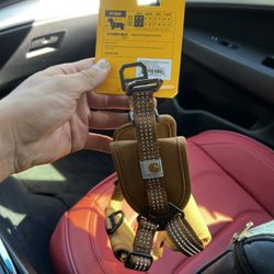 Carhartt Harness Small
