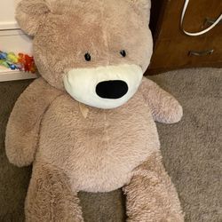 Large Teddy Bear (accepting offers)