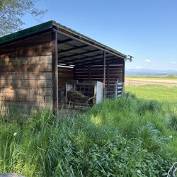 Horse/livestock Shelter
