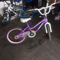Nice  20 Girls Bike 