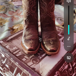 Cowgirl boots