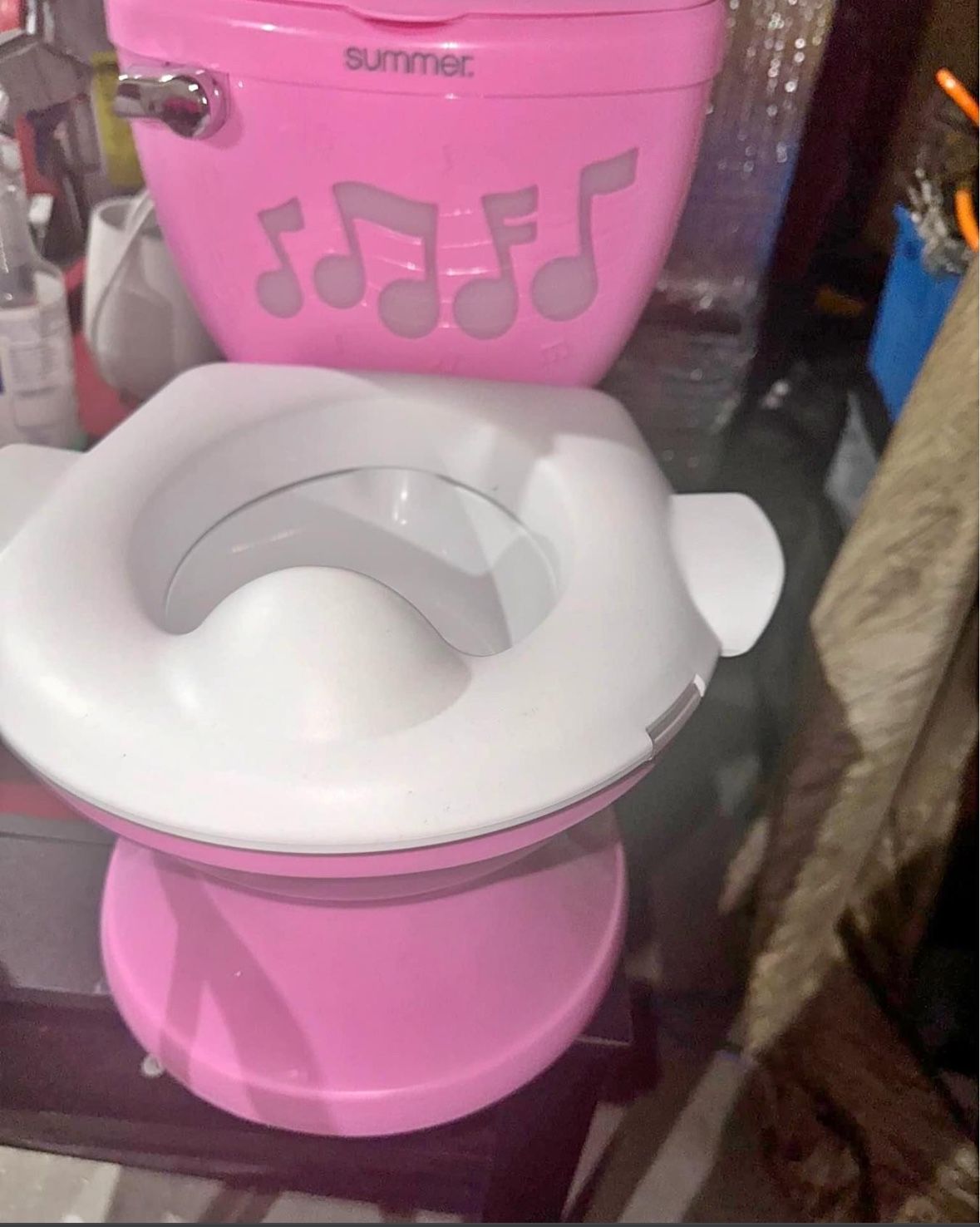 Toddler potty chair