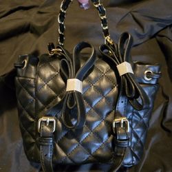 Brand New Badgley Mischka Bag