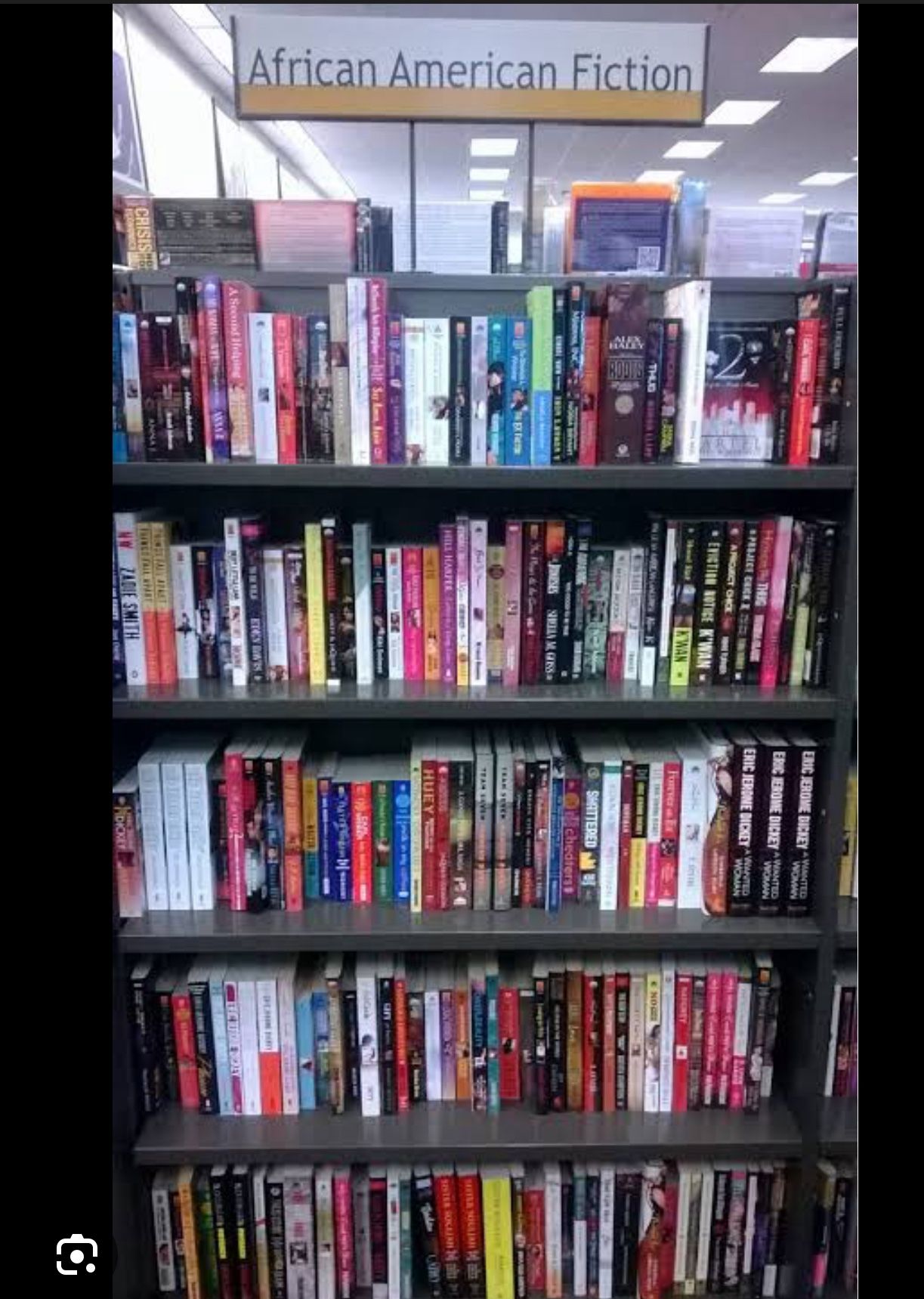 African American/Black Fiction Books