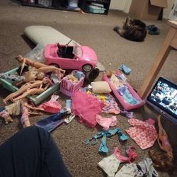 Barbie Toys I Have A Lot Of Barbies And Stuff 