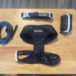 Lighting Glow-in-the-Dark Harness Walking Bundle