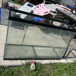 Fish Tank Aquarium