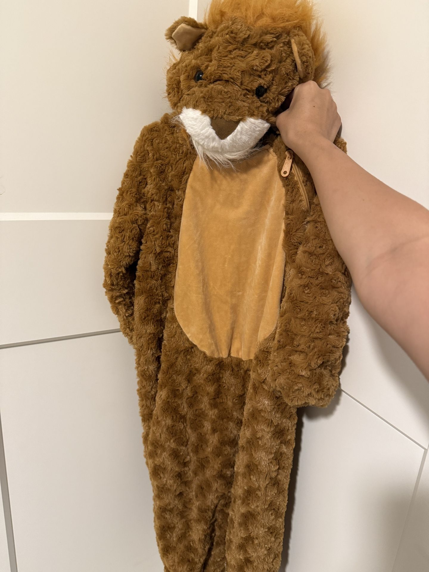 Lion Costume