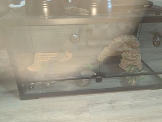 Terrarium